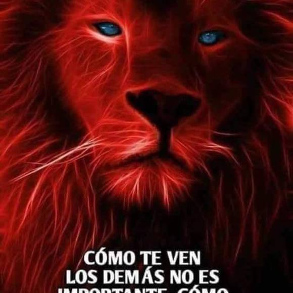 Meet your Posher, Jorge - Picture 1 of 1